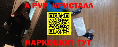 крисы Новокубанск