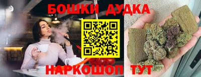 крисы Новокубанск