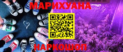 крисы Новокубанск