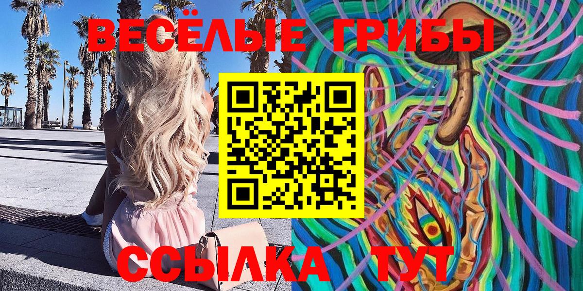 Галлюциногенные грибы Magic Shrooms  Вход с VPN  Ставрополь  Галлюциногенные грибы прущие грибы 